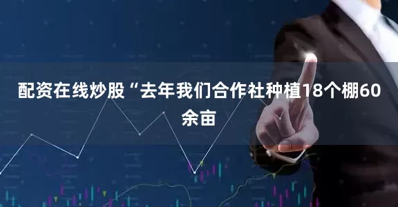 配资在线炒股“去年我们合作社种植18个棚60余亩