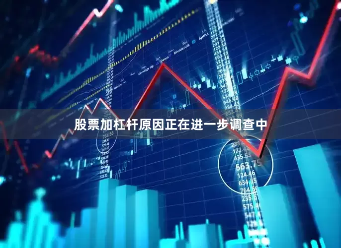 股票加杠杆原因正在进一步调查中