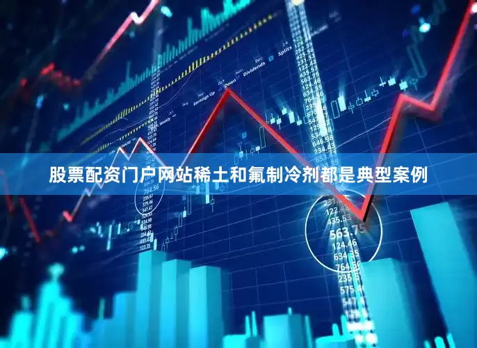 股票配资门户网站稀土和氟制冷剂都是典型案例