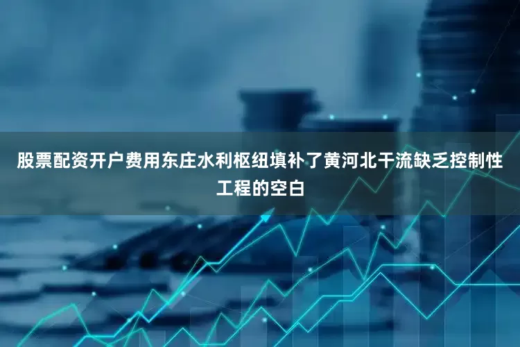 股票配资开户费用东庄水利枢纽填补了黄河北干流缺乏控制性工程的空白