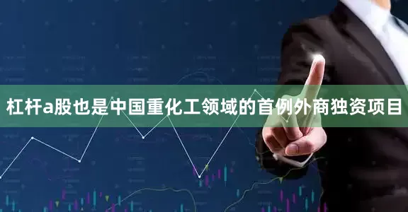 杠杆a股也是中国重化工领域的首例外商独资项目